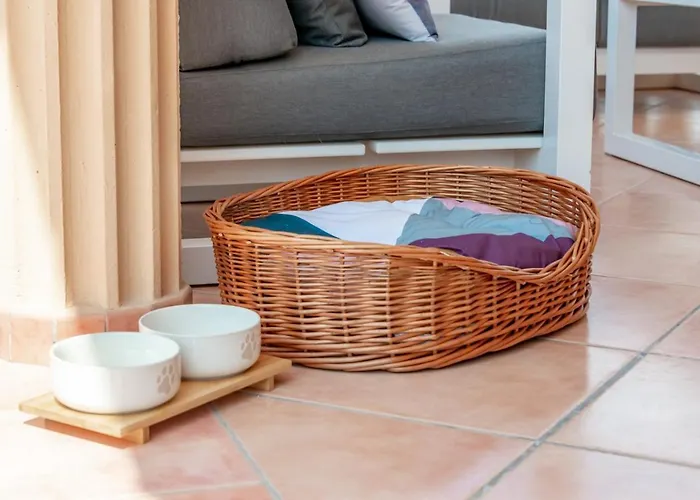 Βίλα Guzman - Bellissima *