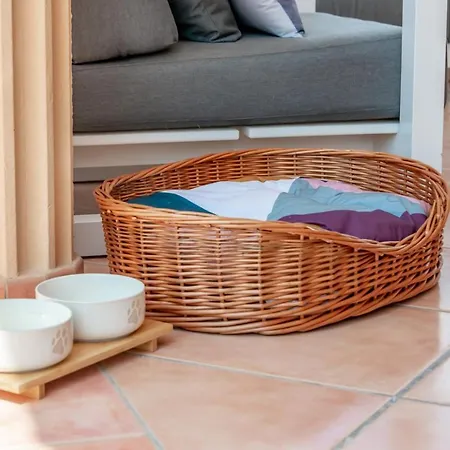 Willa Guzman - Bellissima *